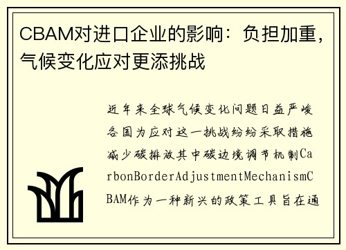 CBAM对进口企业的影响：负担加重，气候变化应对更添挑战