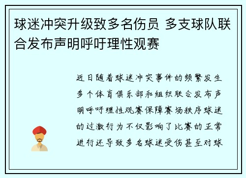 球迷冲突升级致多名伤员 多支球队联合发布声明呼吁理性观赛
